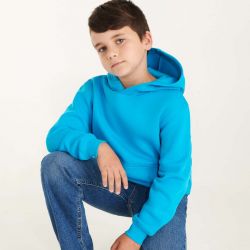 Sudadera Básica Niño ROLY CAPUCHA 1087